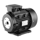 HS series hollow shaft electric motor