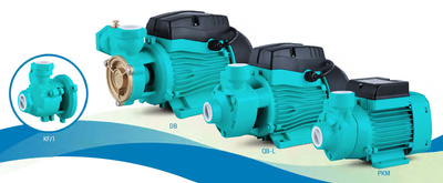 PKM/QB/DB/KF/1 peripheral pump